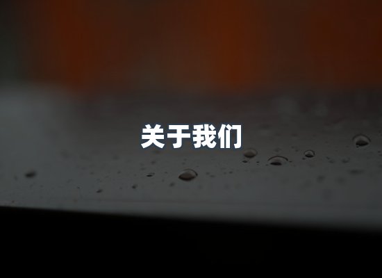 专业团队